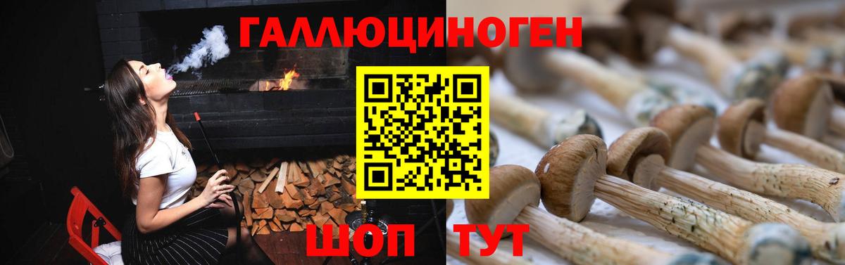 Псилоцибиновые грибы GOLDEN TEACHER  Вход с VPN  Калуга  Псилоцибиновые грибы GOLDEN TEACHER 